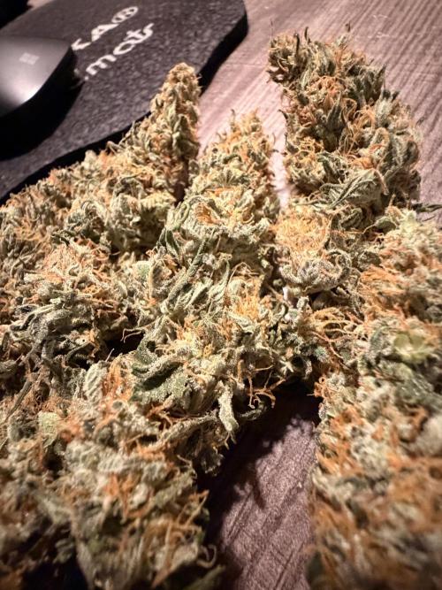 Fast Deisel from izi.farm. Week 13