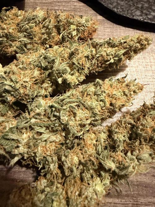 Fast Deisel from izi.farm. Week 13