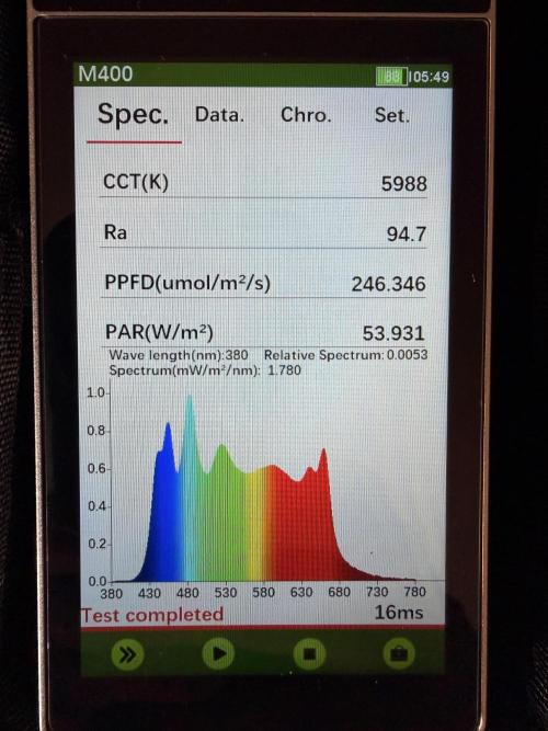 Sticky Braccoli Auto - Zamnesia Seeds. Week 1
