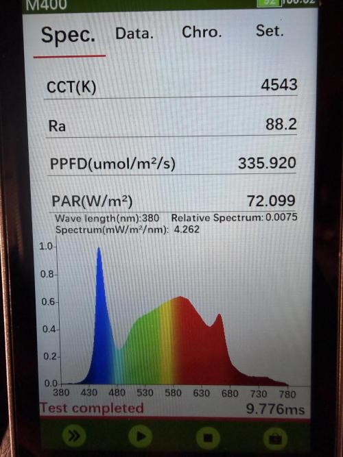 Sticky Mango Auto - Tastebudz Genetics. Week 3
