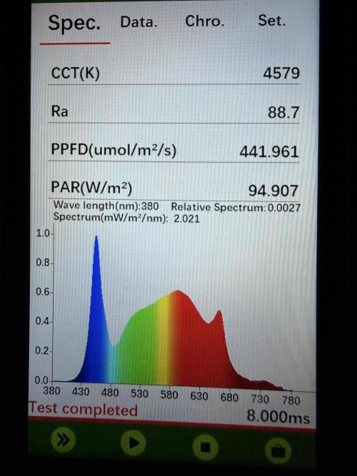 Sticky Mango Auto - Tastebudz Genetics. Week 4
