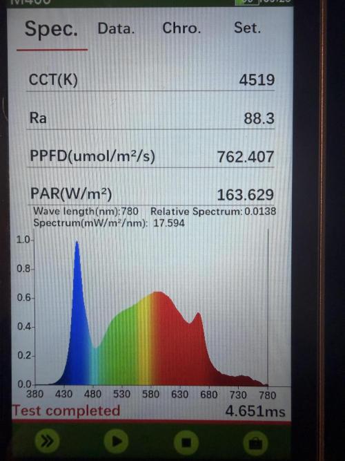 Sticky Mango Auto - Tastebudz Genetics. Week 6 - 2/21/2026