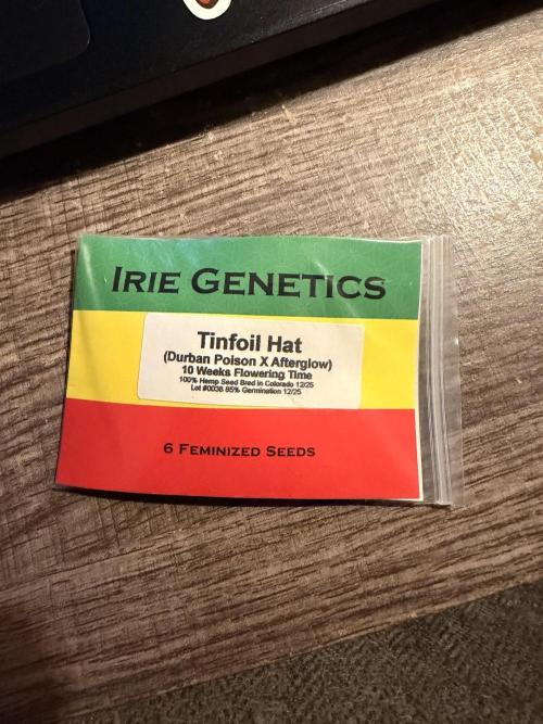 Tinfoil Hat & Cherry Burger. Week 0
