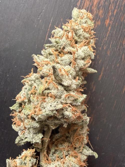 Sticky Braccoli Auto - Eternity Cup 2026. Week 11