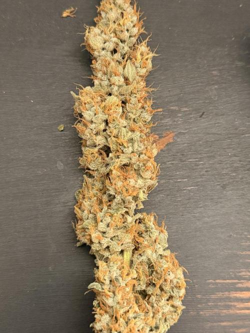 Sticky Braccoli Auto - Eternity Cup 2026. Week 11