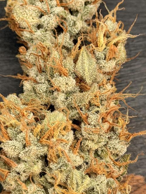 Sticky Braccoli Auto - Eternity Cup 2026. Week 11