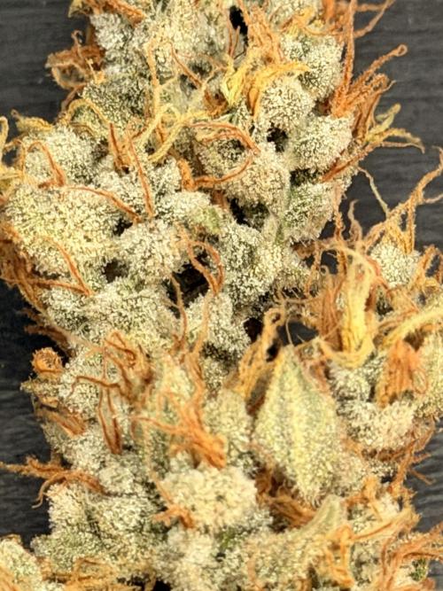 Sticky Braccoli Auto - Eternity Cup 2026. Week 11