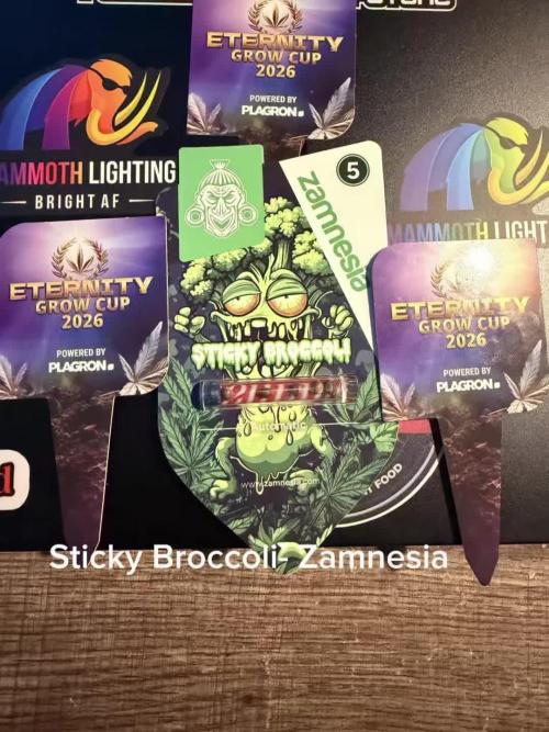 Sticky Braccoli Auto - Eternity Cup 2026