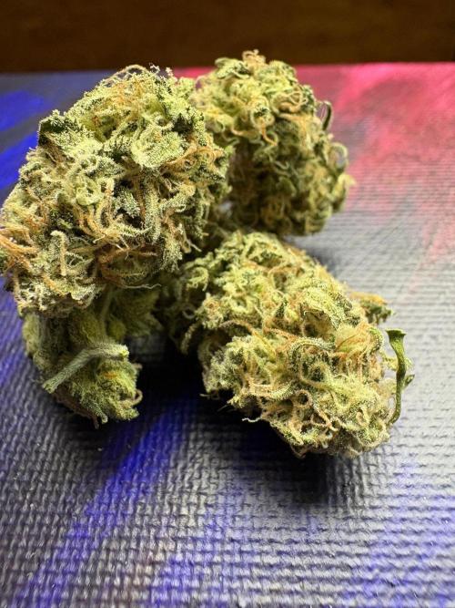 Winter is coming . Week 11