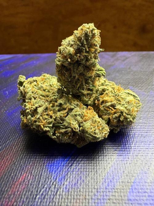 Winter is coming . Week 11