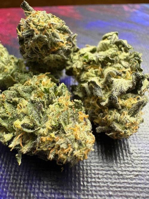 Winter is coming . Week 11