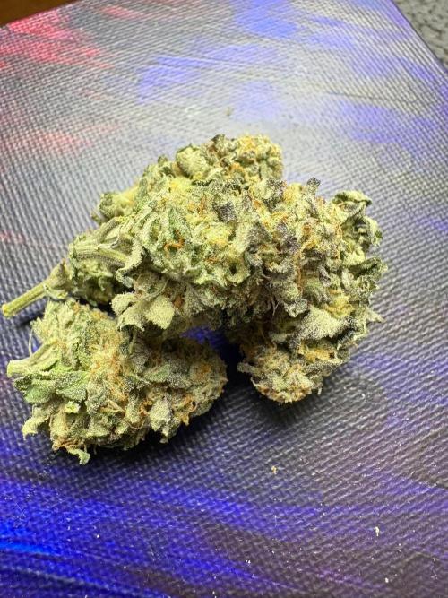 Winter is coming . Week 11