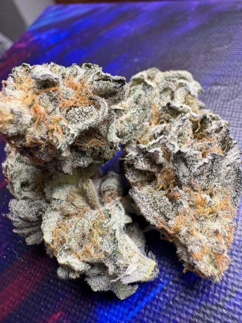 Winter is coming . Week 11