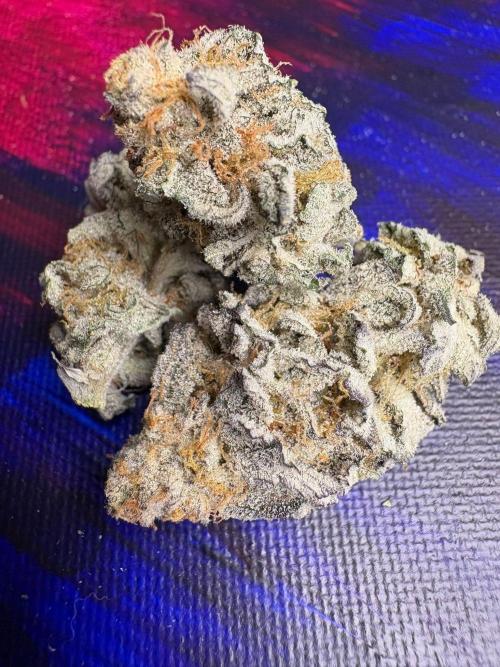 Winter is coming . Week 11