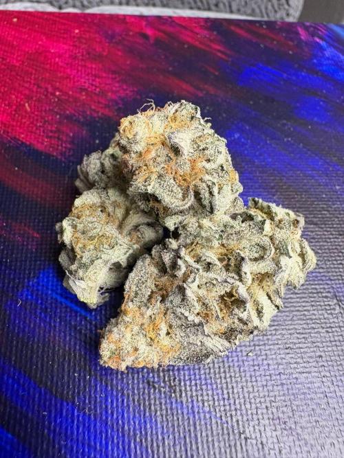 Winter is coming . Week 11