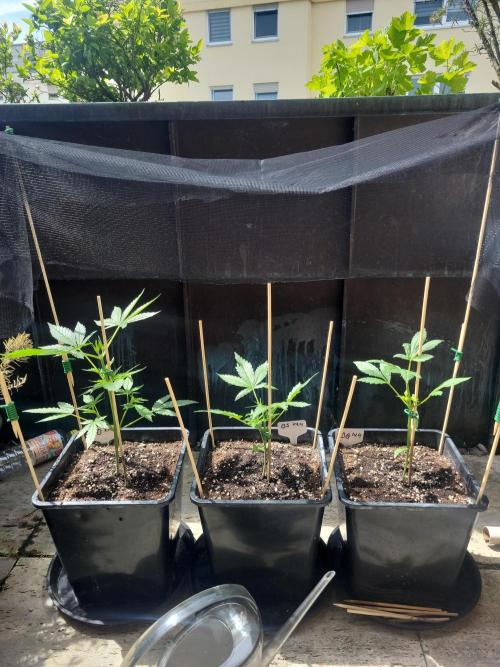 Outdoor 2026 Fastbuds. Week 3 - Day 22
