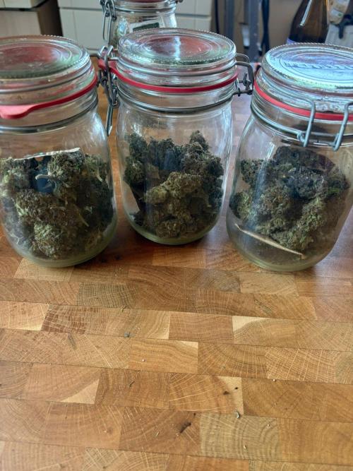 First and quick FASTBUDS sprint. Week 12