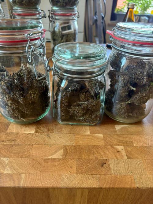 First and quick FASTBUDS sprint. Week 12