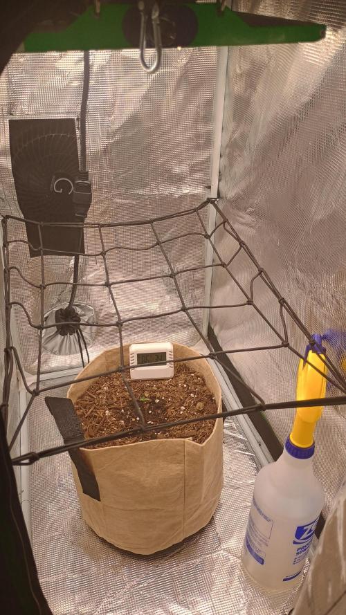 Special Kush ( Trying New Techniques ). Week 0