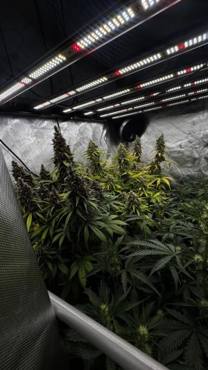 Comment by ChillSpace photo #4
