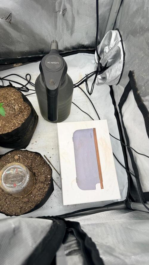 Breaking Teeth & Banging Heads 🤘⚗️. Week 0 - Perfect box for the germination chamber I also setup a sensor inside 