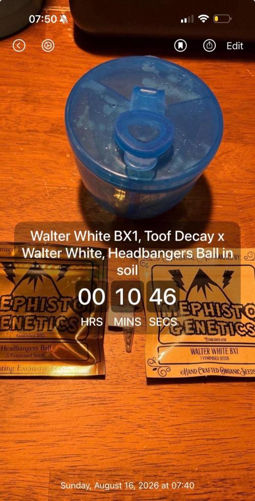 Breaking Teeth & Banging Heads 🤘⚗️. Week 0 - And then I updated the tracker once In soil