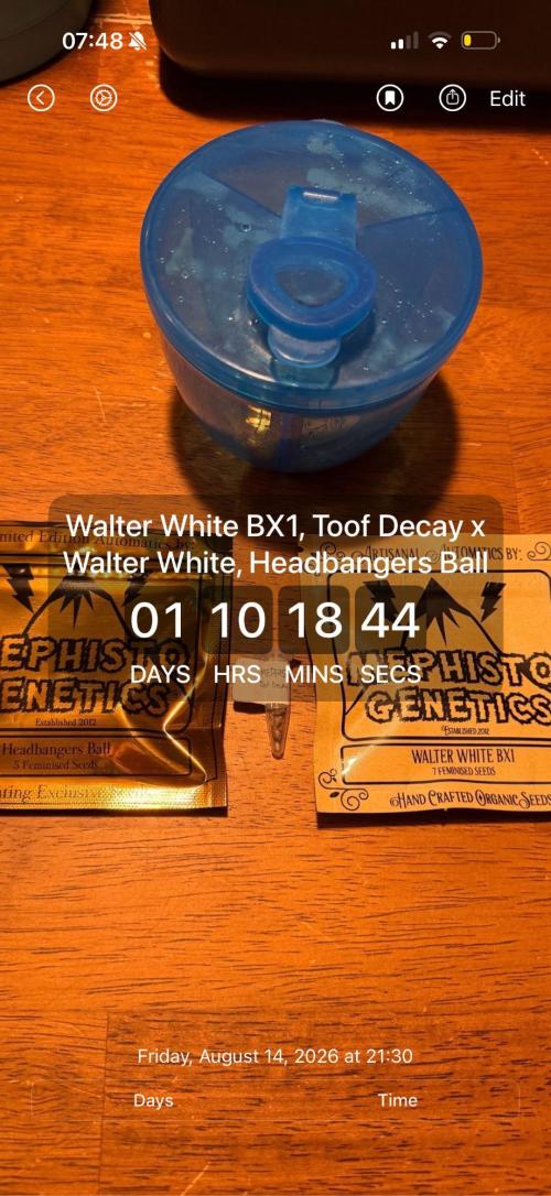 Breaking Teeth & Banging Heads 🤘⚗️. Week 0 - I love this app for tracking, it’s simply called days countdown