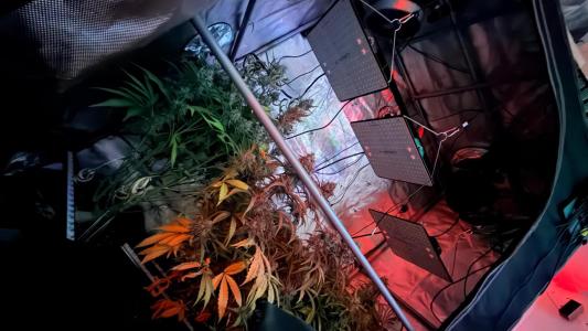 Comment by ChillSpace photo #1
