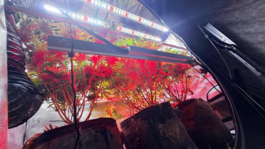 Comment by ChillSpace photo #2