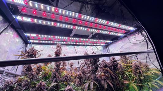 Comment by ChillSpace photo #1