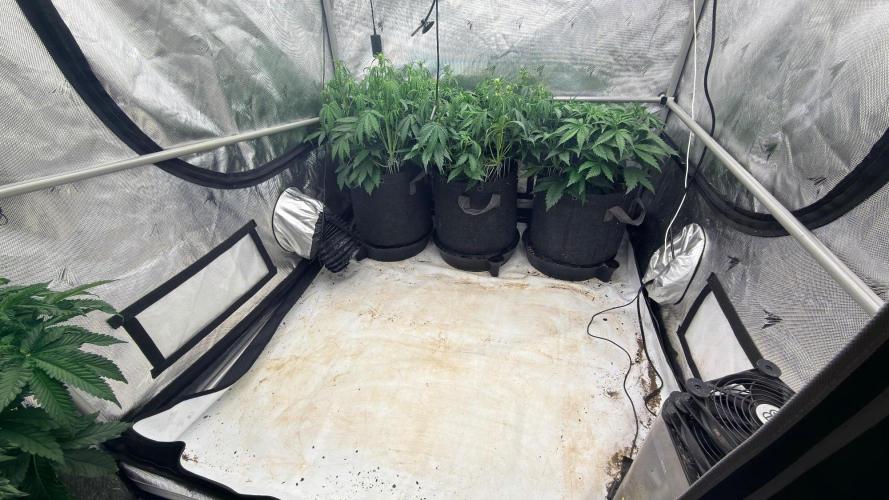Breaking Teeth & Banging Heads 🤘⚗️. Week 4 - Autos needs some work