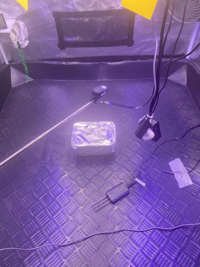 Triple Haze Run. Week 0