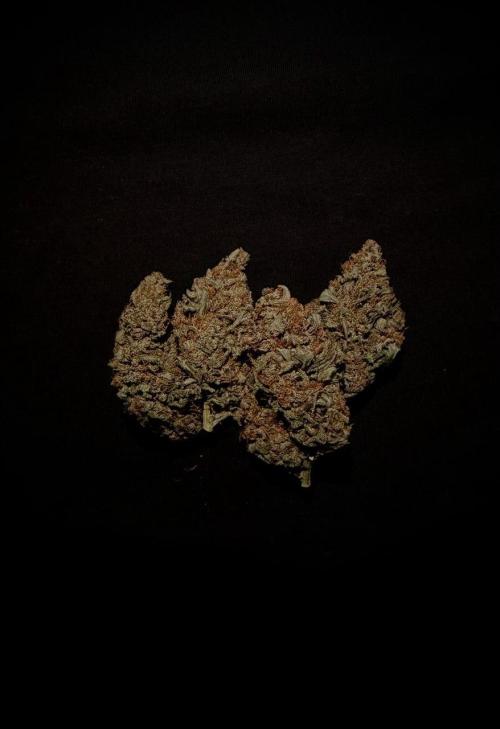 Dark😈 SweetSeeds. Week 11