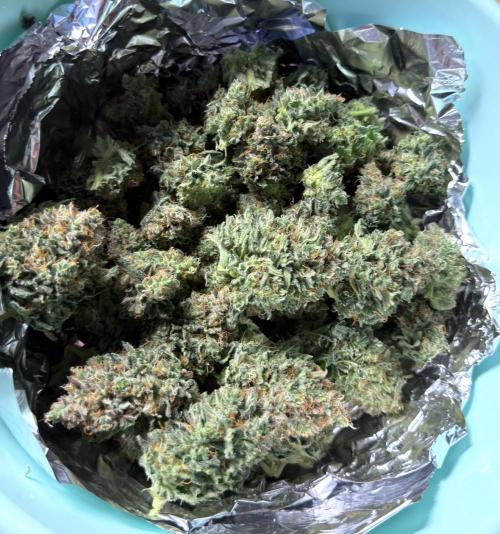 Runtz🍬 ZA Seed's. Week 9