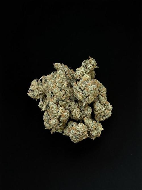 ᗷIᔕᑕOTTI ᙭ GEᒪᗩTO by GreenHouseSeeds. Week 11