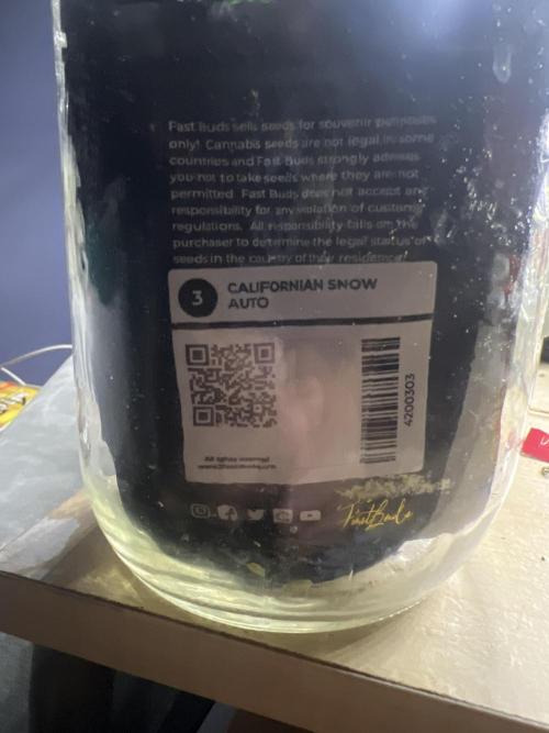 Carvajet 4th grow of Autoflowers. Week 0 - 420 seeds 