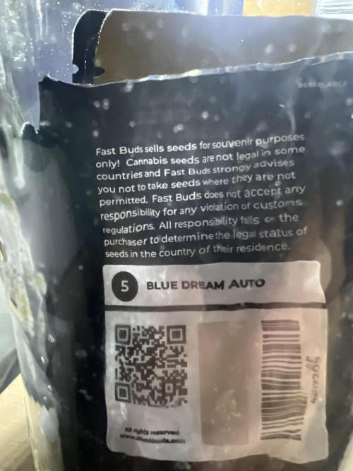 Carvajet 4th grow of Autoflowers. Week 0 - 420 seeds 
Where it’s allways 420 somewhere 😝