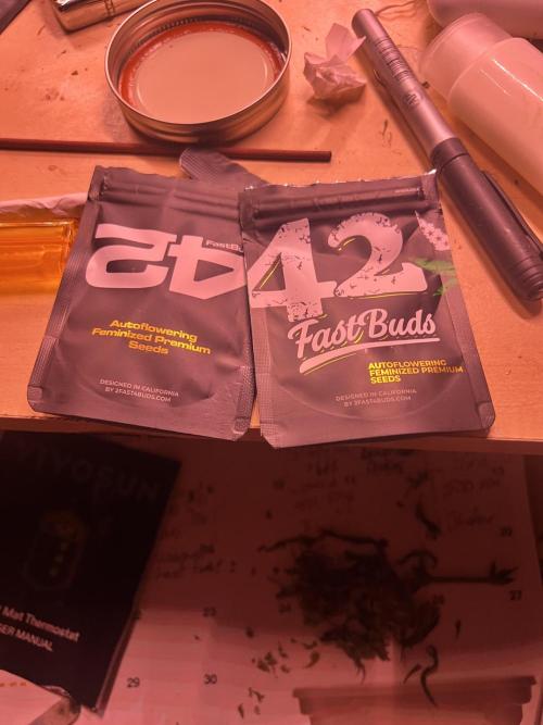 Carvajet 4th grow of Autoflowers. Week 0 - These should be done in 90 days 