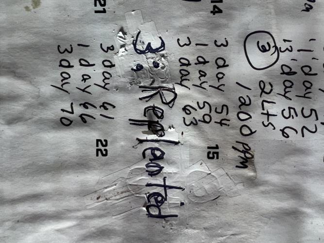 Carvajet 4th grow of Autoflowers. Week 9