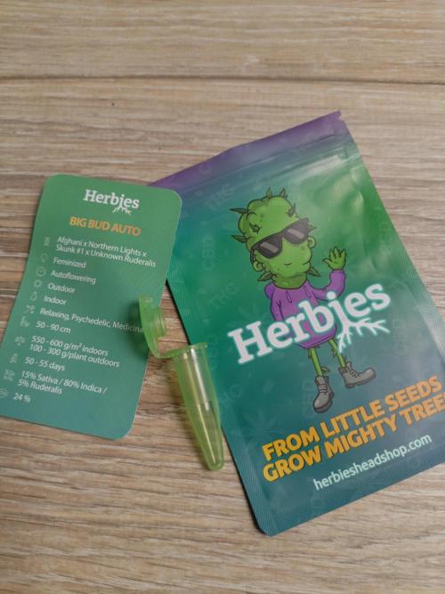 Big Bud Auto (Herbies seeds) Indoor. Week 1