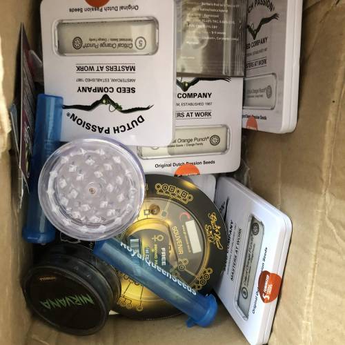 Testbuds  | Dutch Passion 1. Week 1