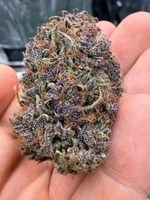 Banana Purple Punch from FastBuds. Week 10