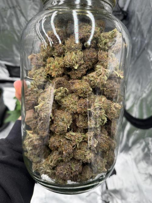 Banana Purple Punch from FastBuds. Week 10