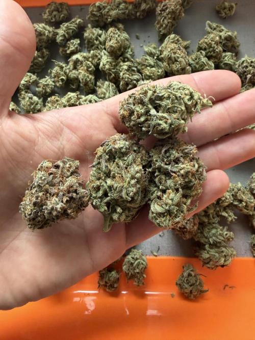 3x FastBuds. Week 9