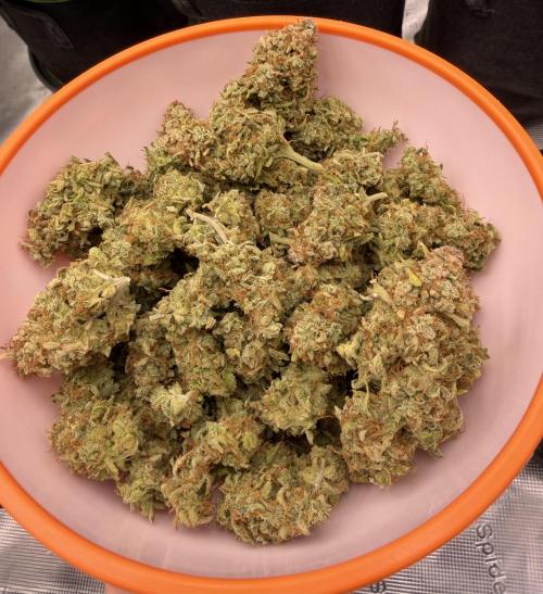 3x FastBuds. Week 10