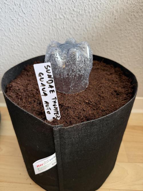 Plagron vs  Canna. Week 0
