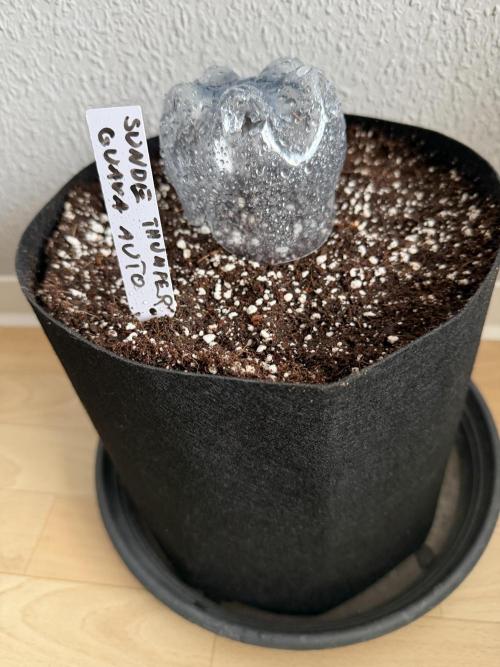 Plagron vs  Canna. Week 0