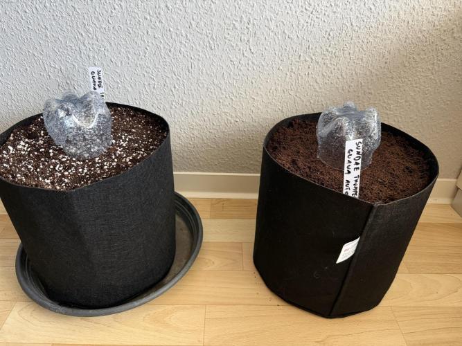 Plagron vs  Canna. Week 0