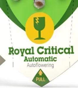Critical. Week 0