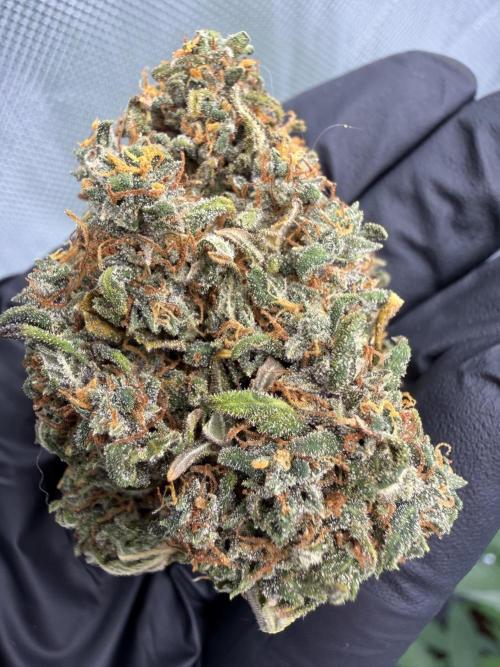 Banana Purple Punch from FastBuds. Week 10